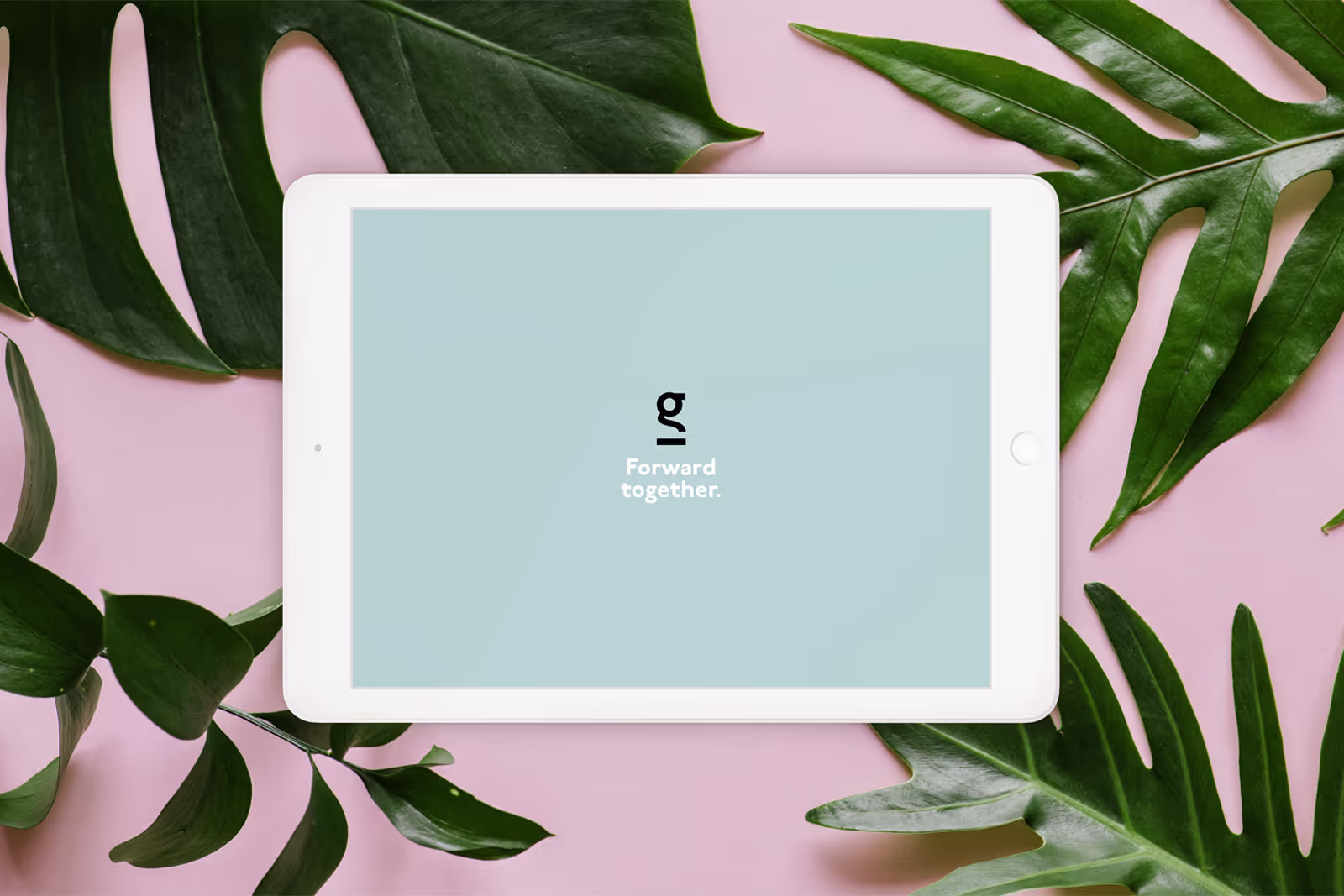 Juniper_x_Greenhouse