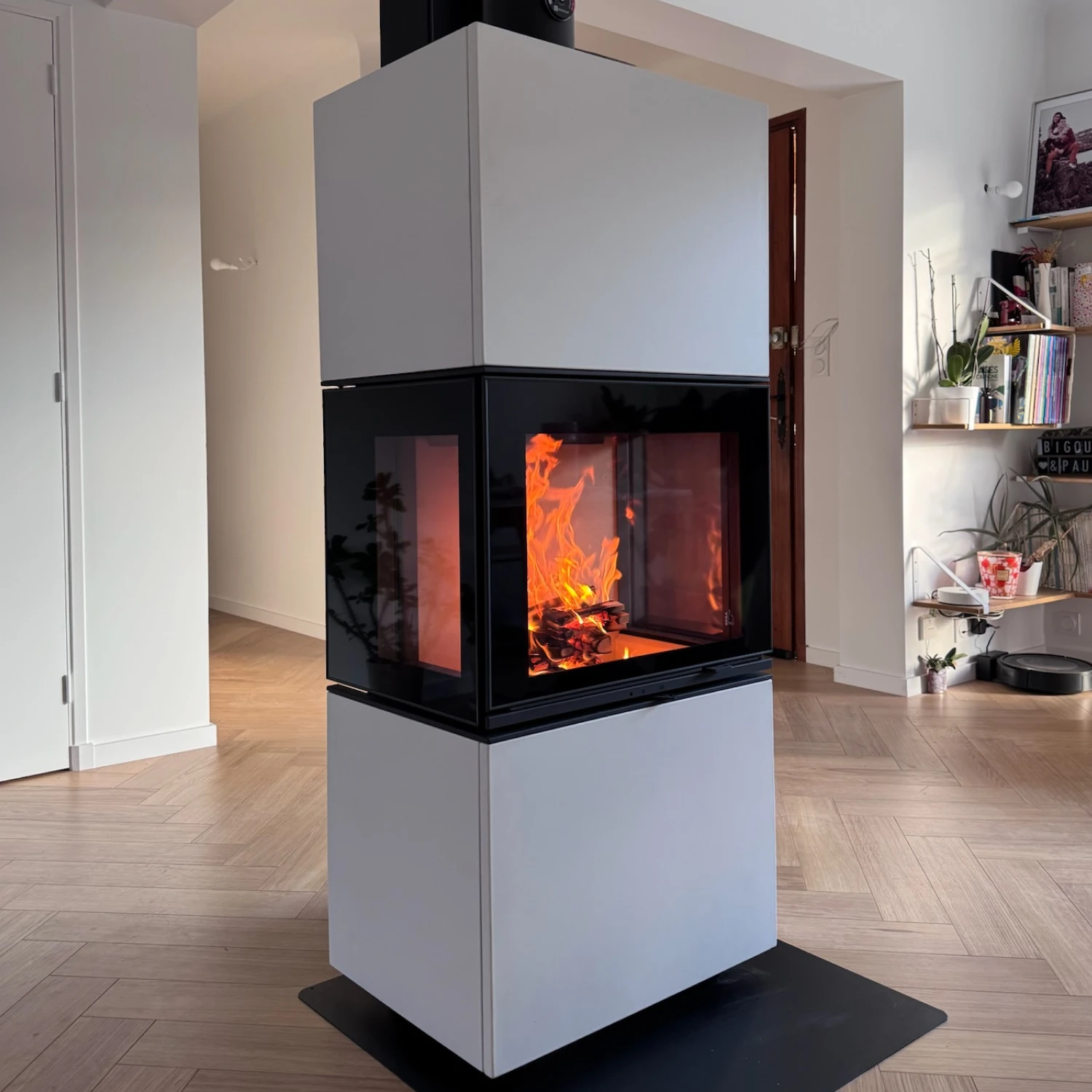 Insert de cheminée moderne avec feu visible au centre dans un salon lumineux et épuré.