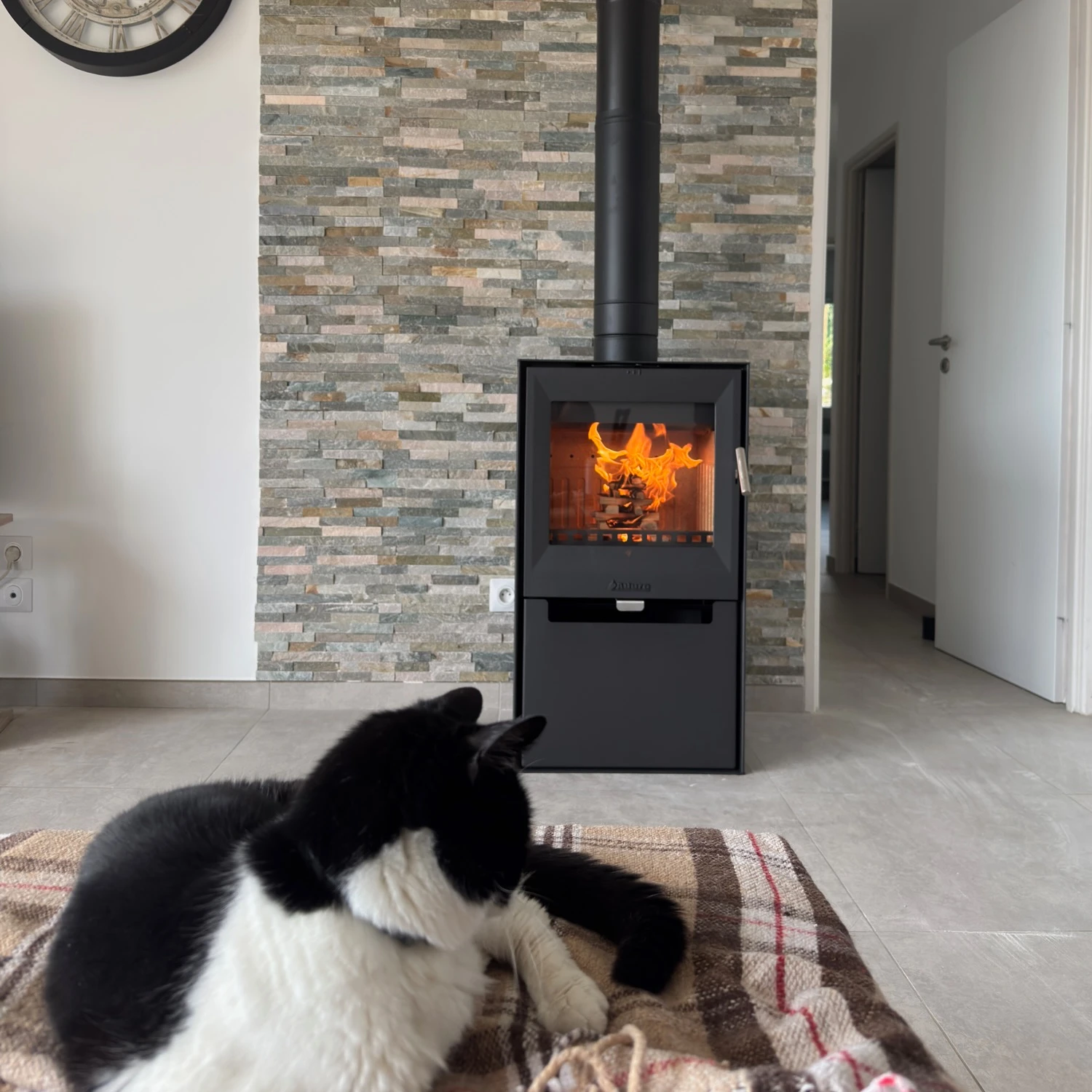 Chat noir et blanc allongé sur une couverture devant un poêle à bois allumé dans un salon moderne.