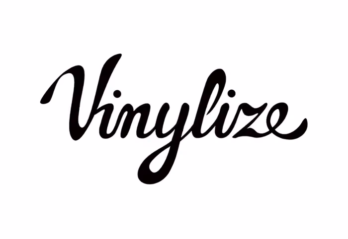 Vinylize
