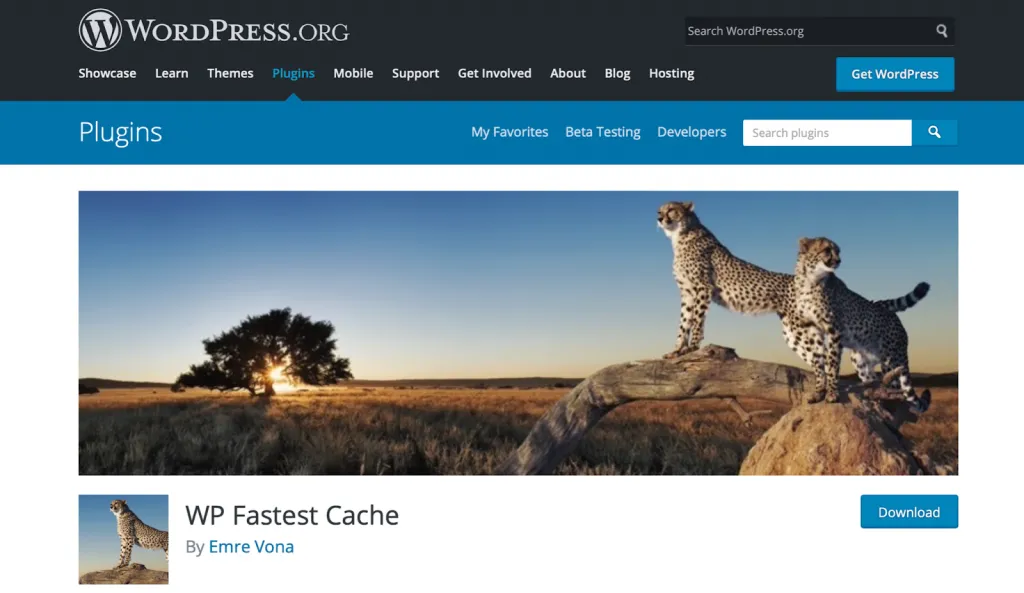 WP Fastest Cache