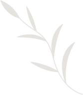 Leaf Image