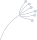 Shape 2