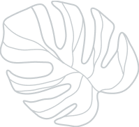 Shape 5