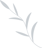 Shape 7