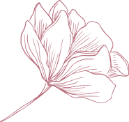 Shape 8