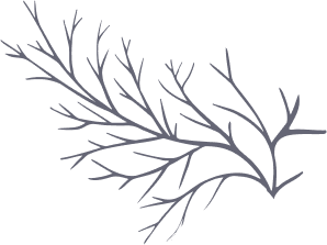 Shape 10