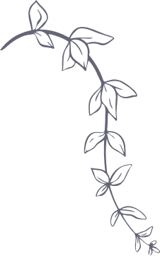 Shape 11