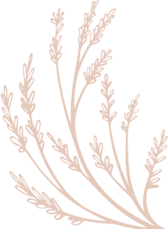 Shape 12