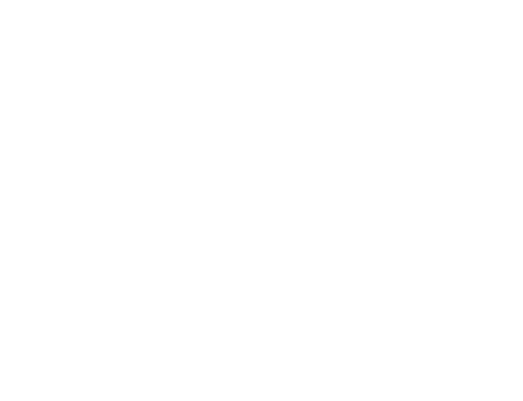 Shape 13