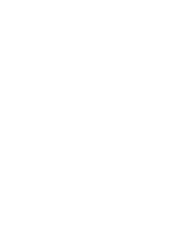 Shape 14