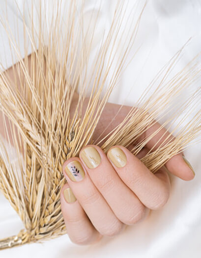 Page Banner Image