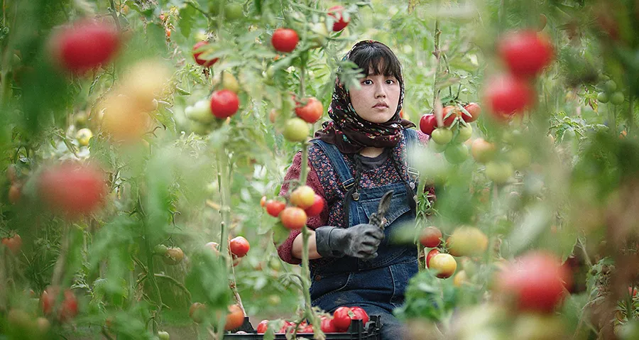 Au pays de nos frères