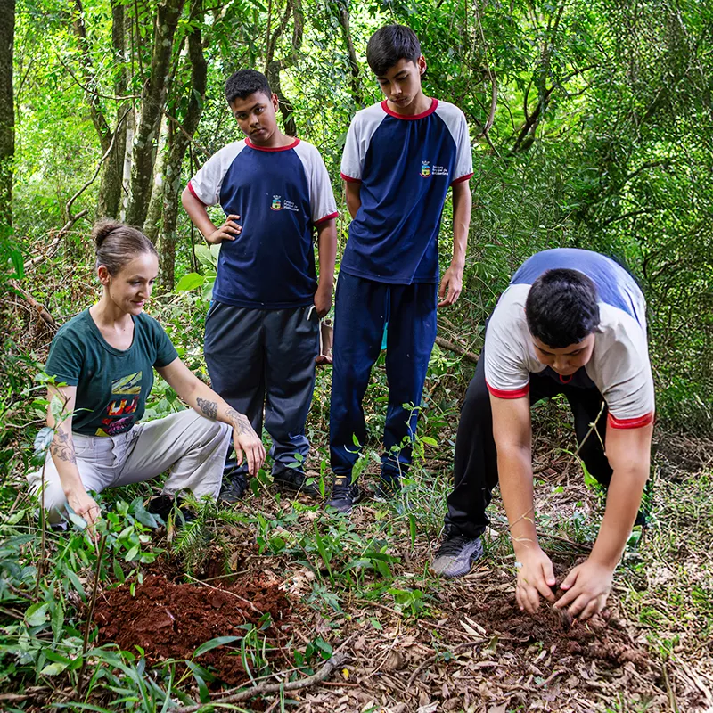 ESTAÇÃO CULTIVAR MEA Plantio de cortinamento vegetal