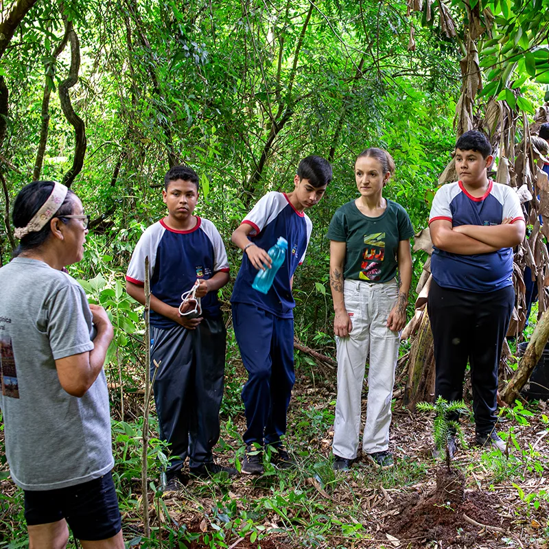 ESTAÇÃO CULTIVAR MEA Plantio de cortinamento vegetal