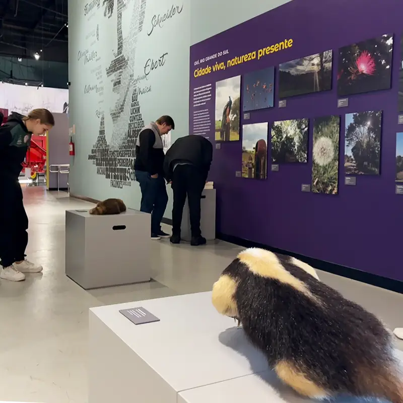 RODA COM CIÊNCIA Visita e ativação na exposição Ecossistemas: região e biodiversidade
