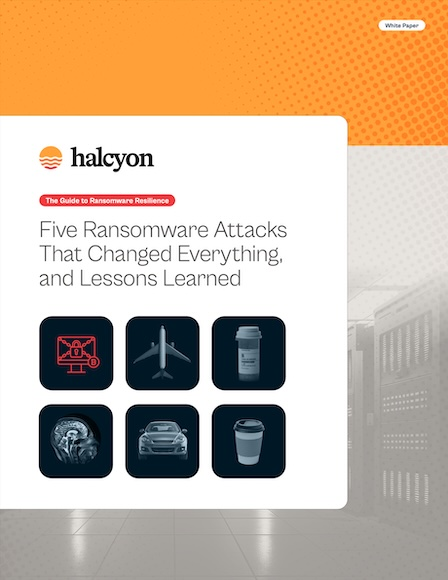 The Quick Guide to Ransomware Resilience 