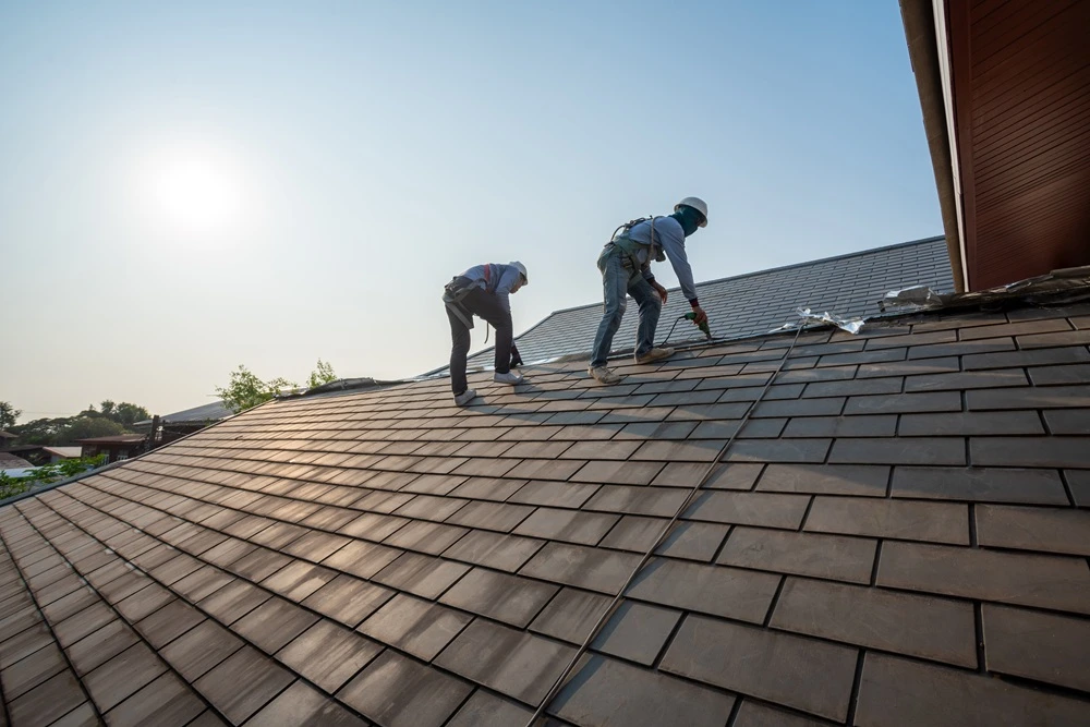Roof Size and Complexity
