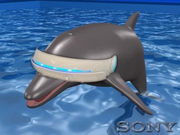 Cartoon dolphin wearing a visor in a pool