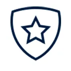 Icon of a club logo