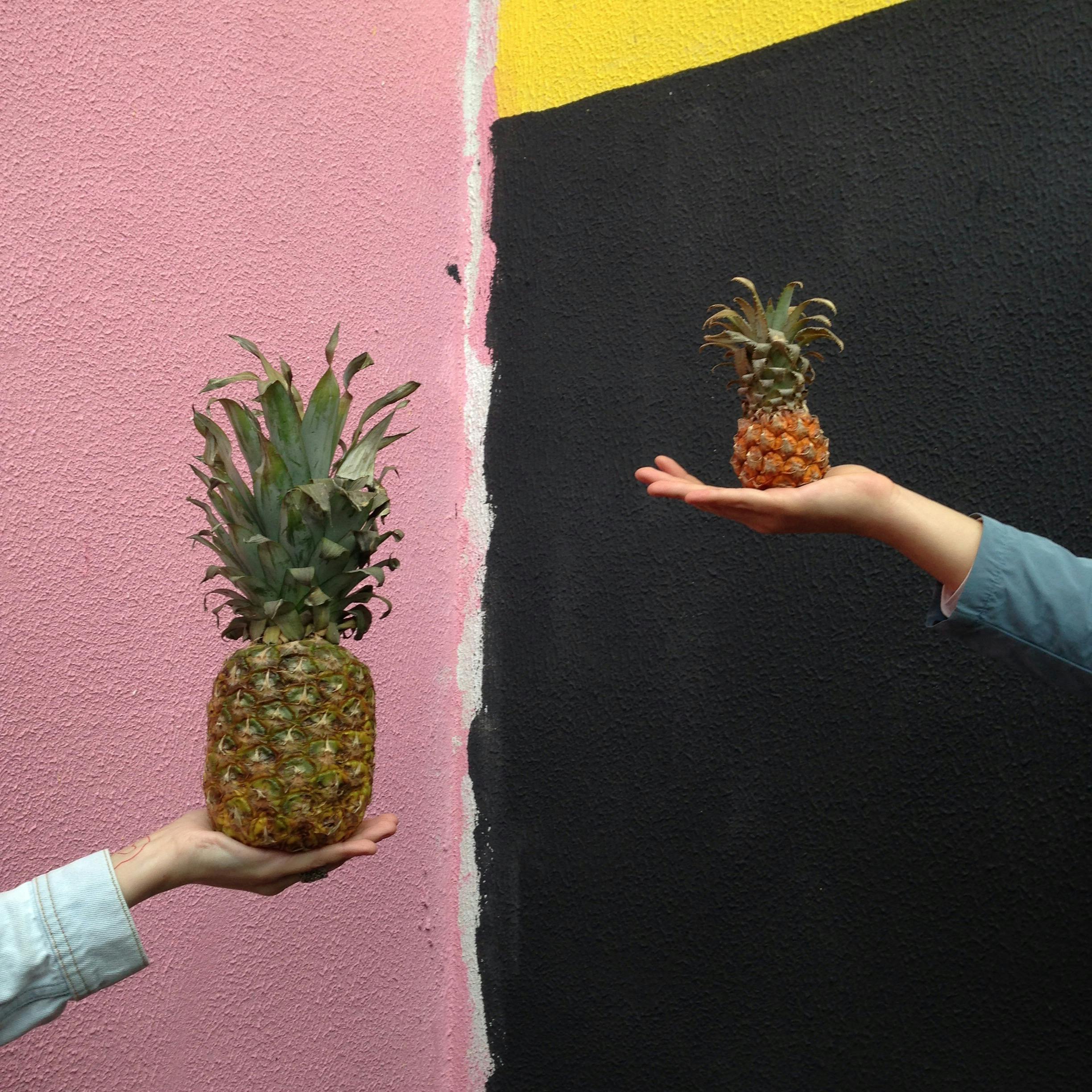 Cactus Prick free financial Aaron Buchner financial planning