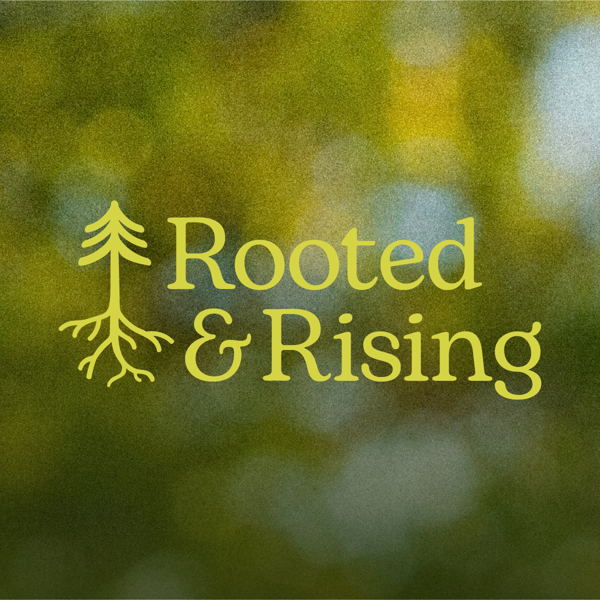 Rooted & Rising - Sales Rally - Park City, UT