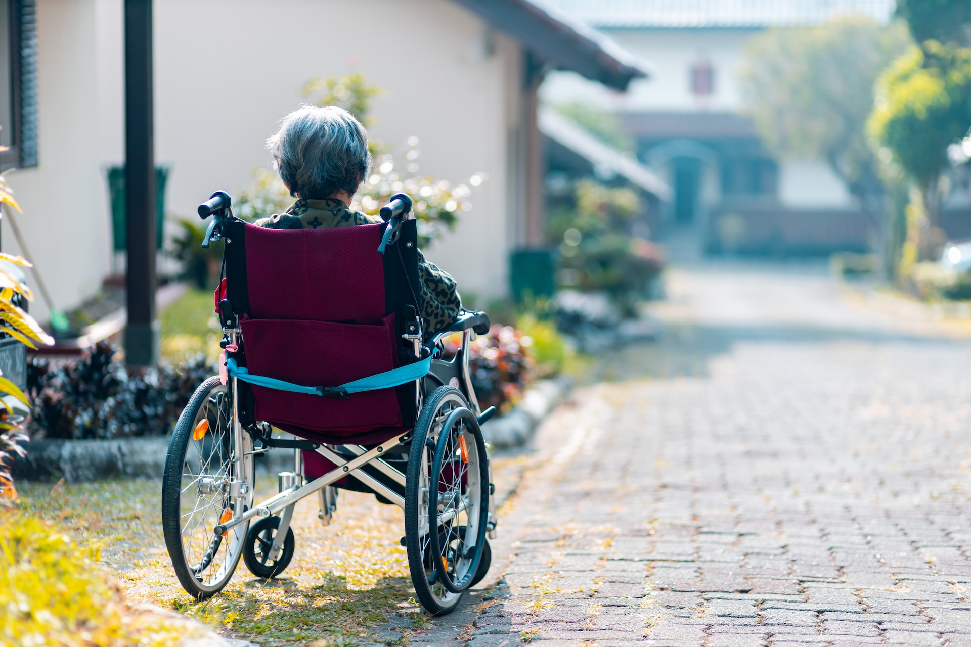 Senior Care Service