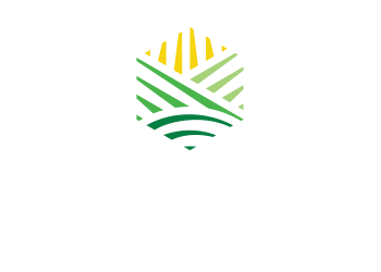 Dirt Rush logo