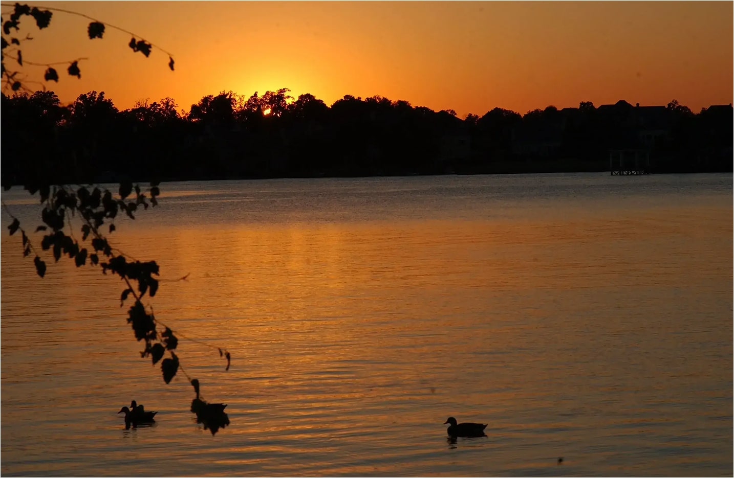 Lake Norman Wildlife Conservation Area