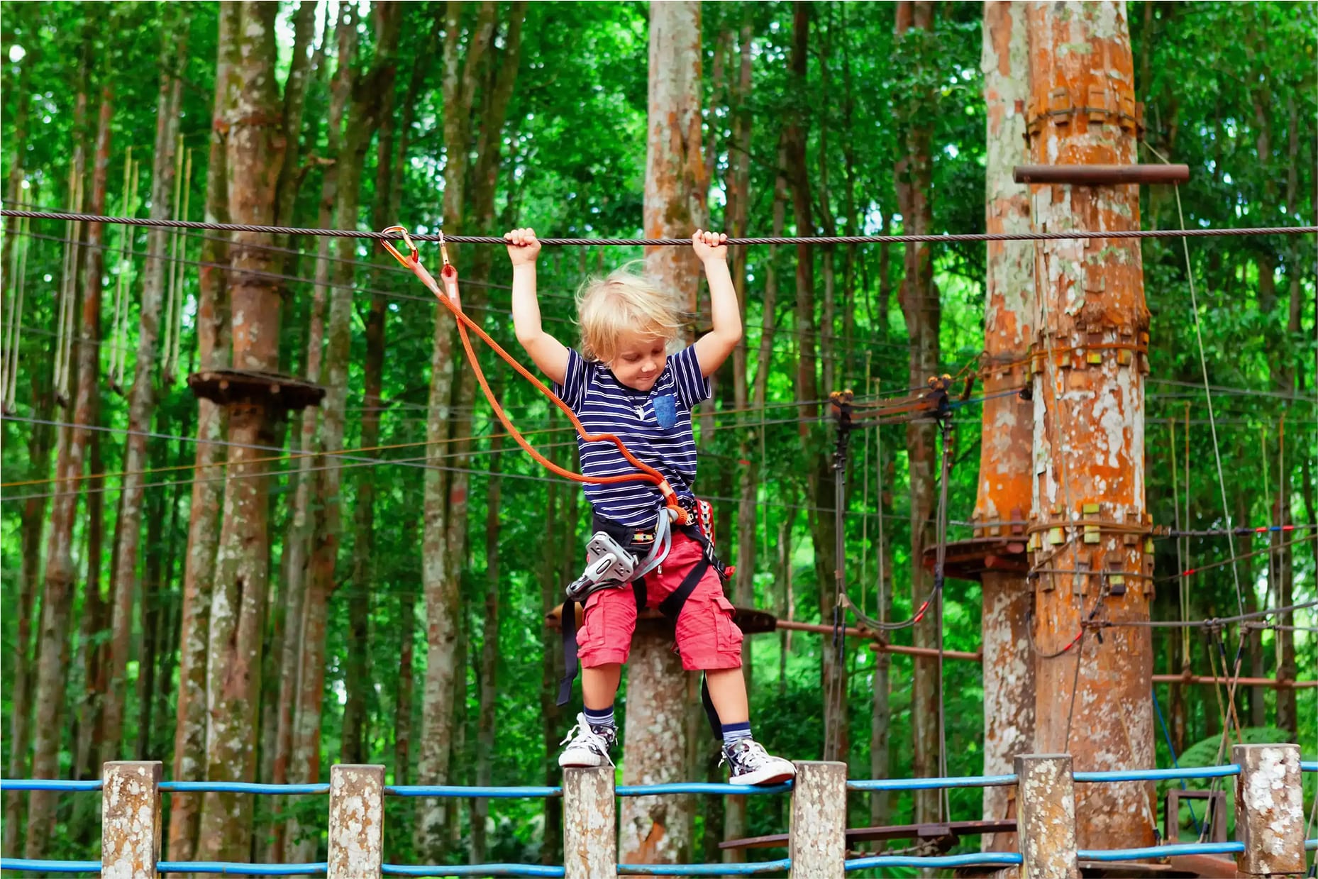 OC Aerial Adventure Park