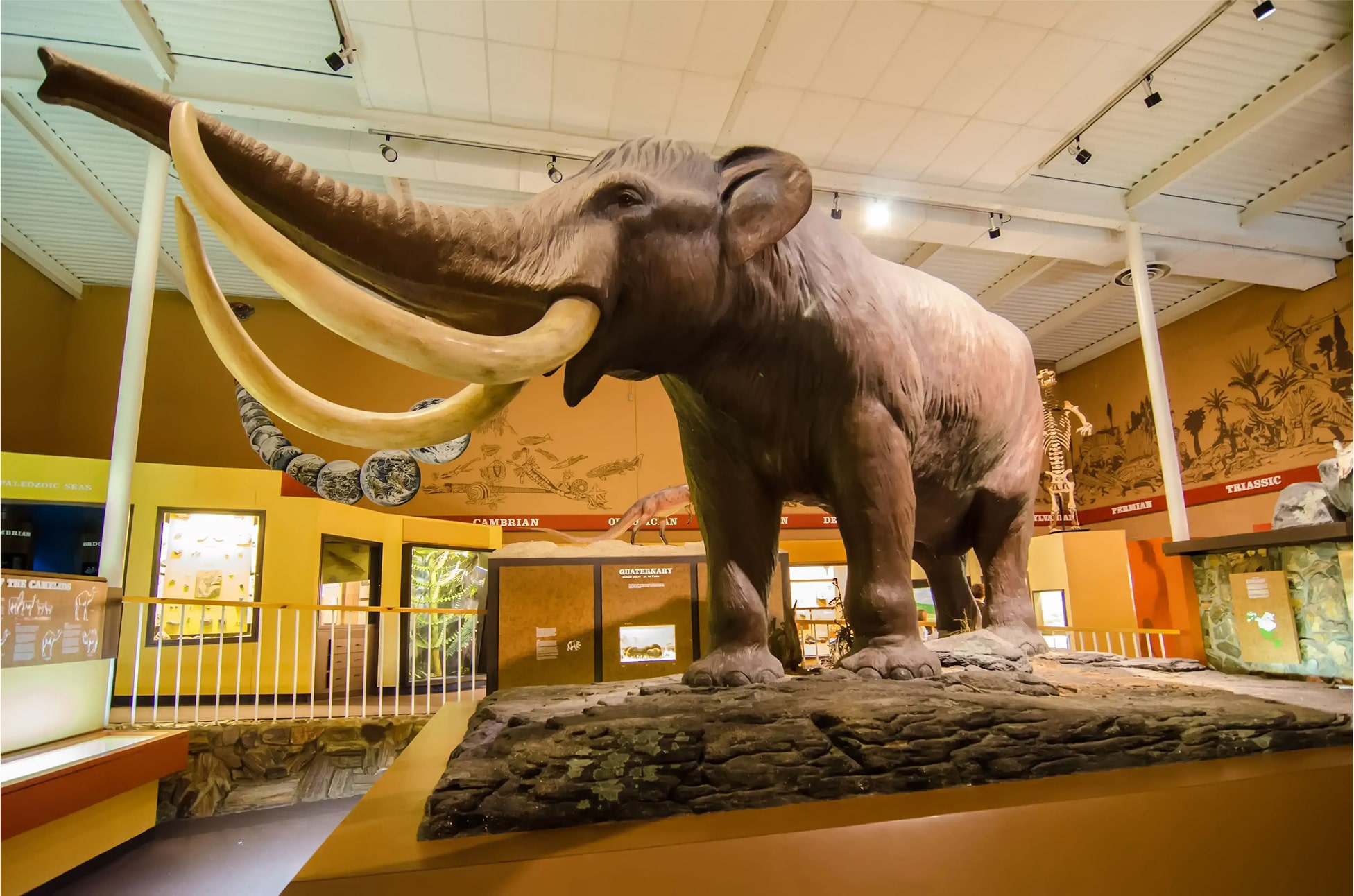 The Schiele Museum of Natural History
