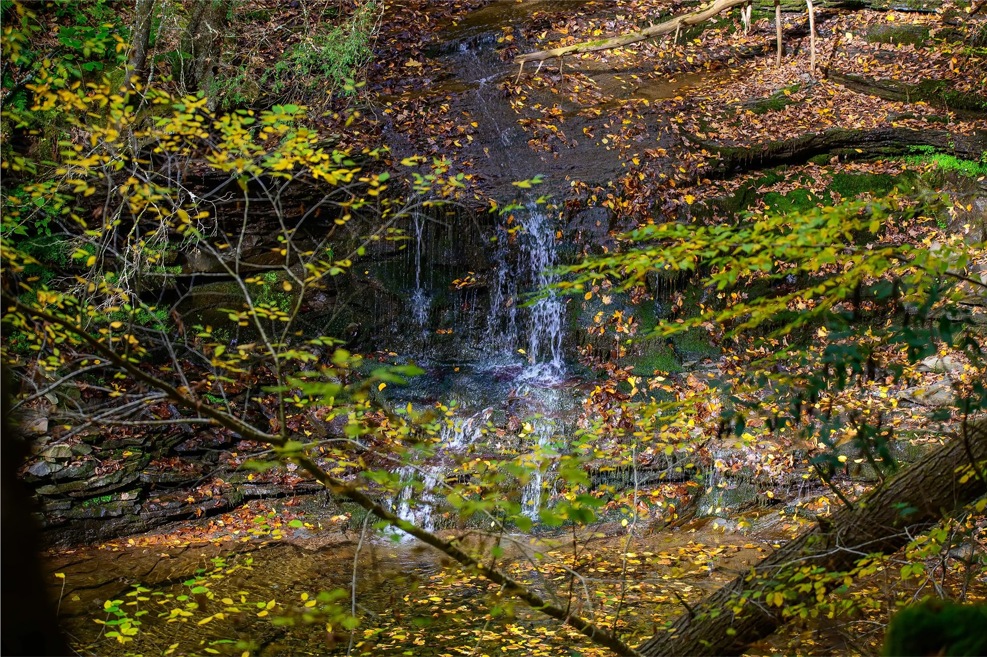 Four Mile Creek Greenway