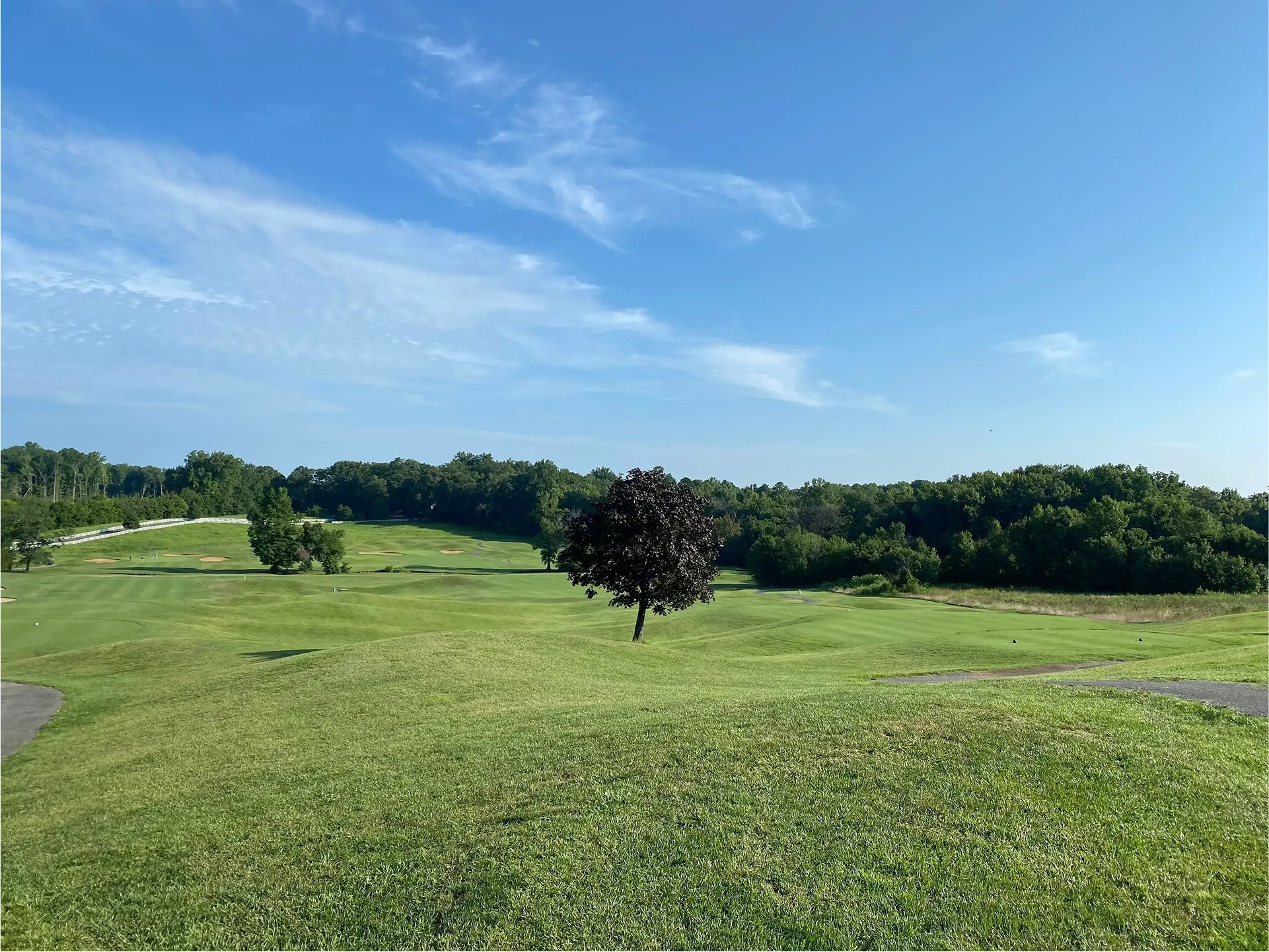 Olde Sycamore Golf Plantation