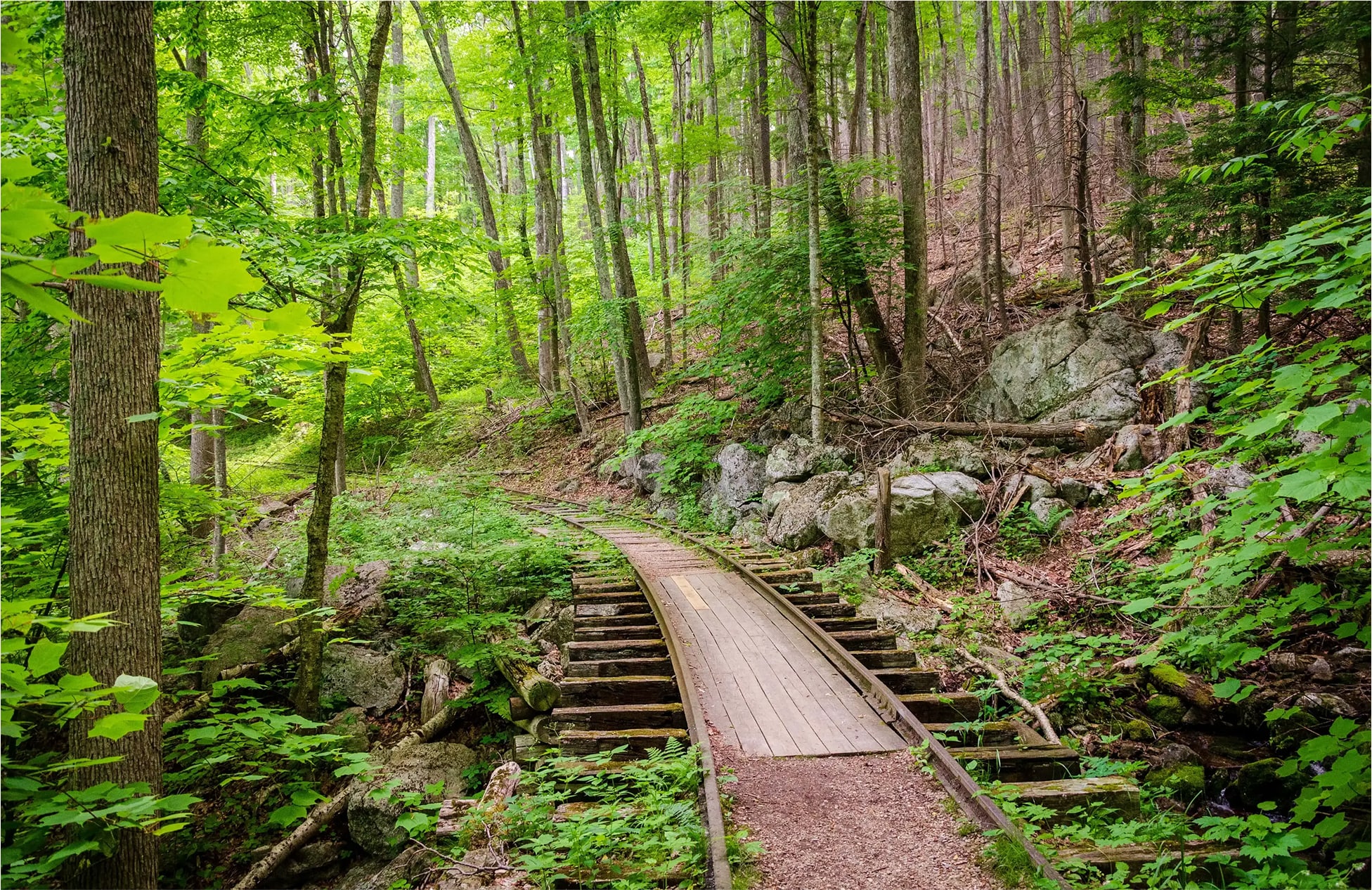 Piedmont Environmental Center