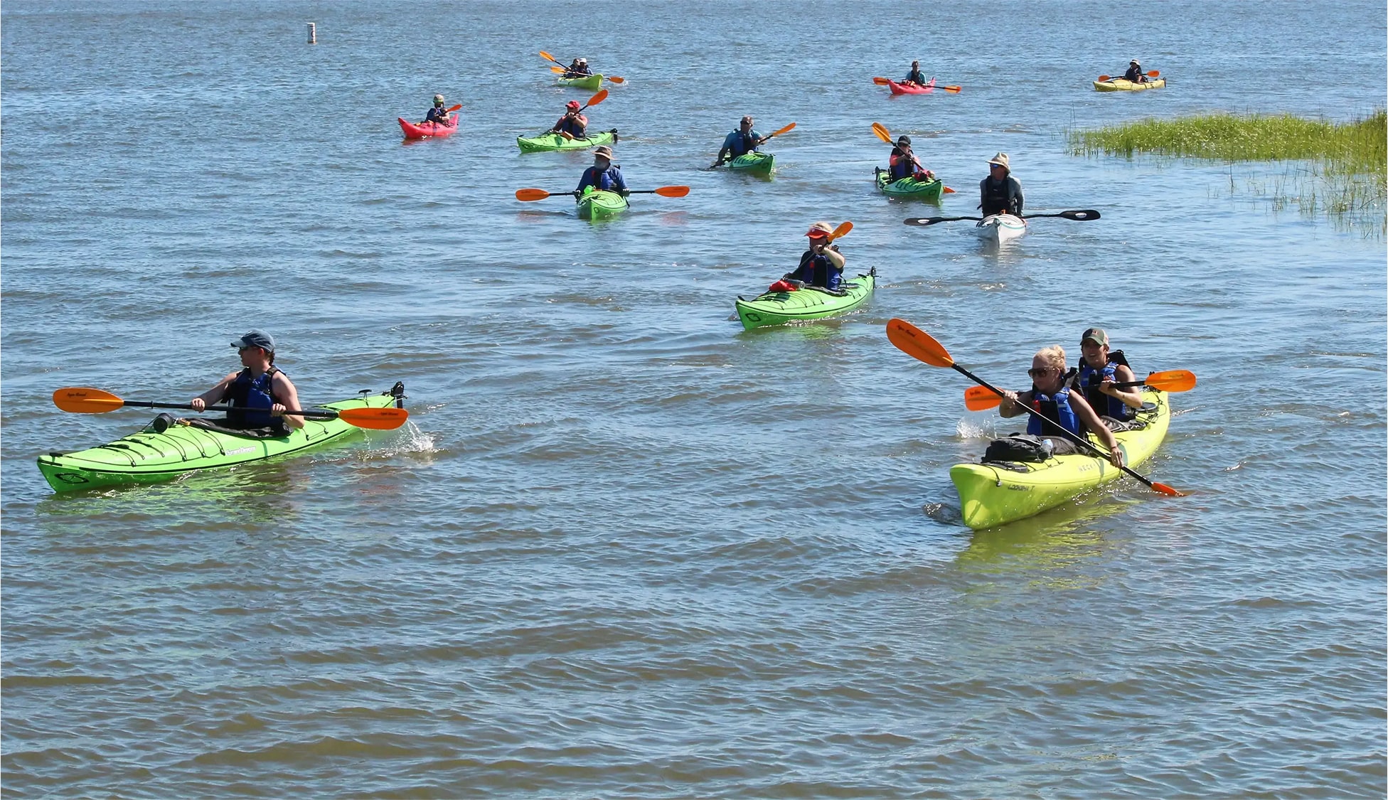 Shem Creek Kayaking Tour