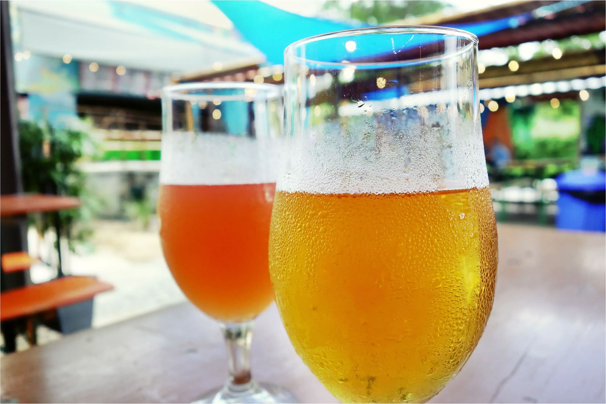 Carolina Beer Temple