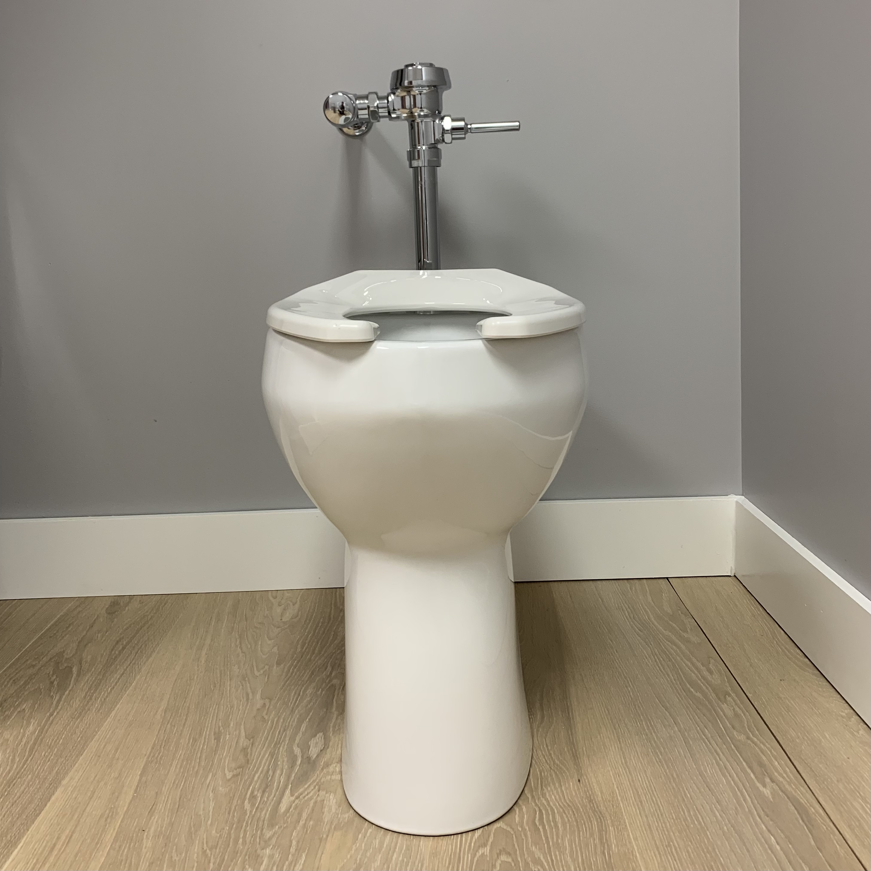 The primary commercial offering is a tankless, floor-mounted elongated bowl designed for flushometer systems. It measures approximately 20.25 inches from the floor to the top of the rim and reaches about 21.25 inches when fitted with the included open-front seat.