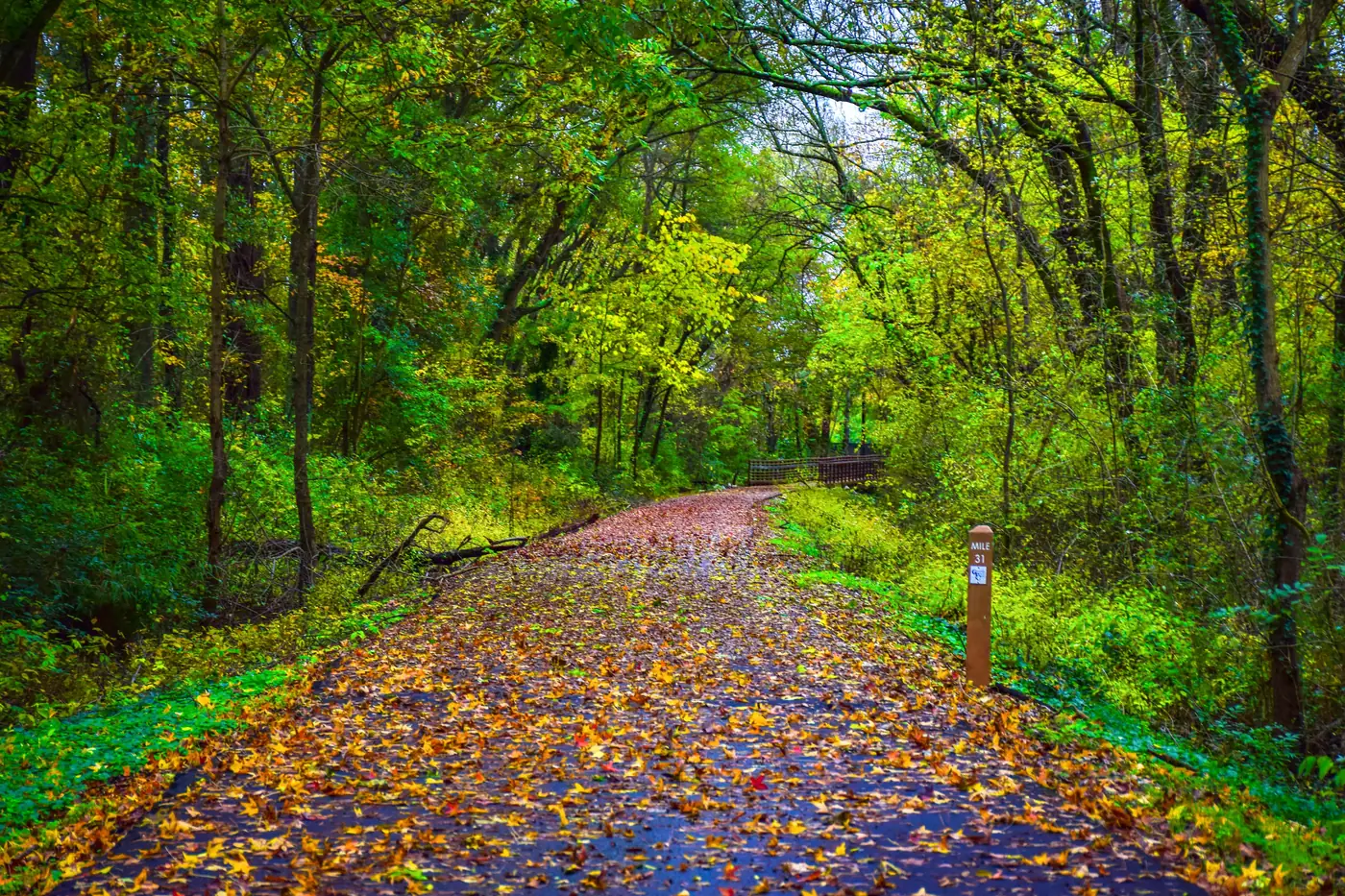 GHS Swamp Rabbit Tram Trail