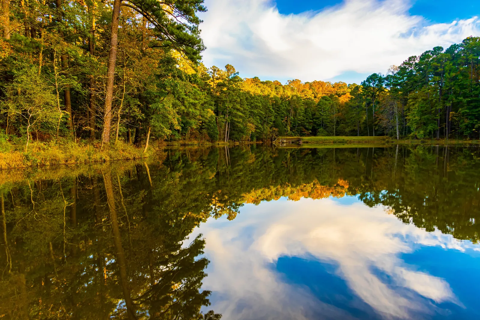 Autumn trees with vivid foliage reflected in the still waters of a lake at William B. Umstead State Park, under a cloud-filled sky at dusk.