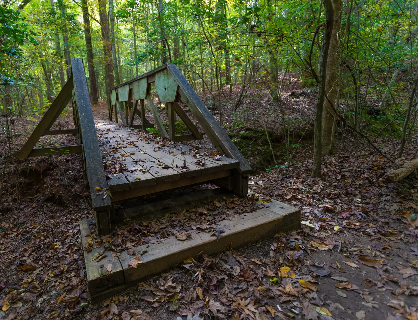 Wooden footbridge with fallen leaves on Bicentennial Greenway, nestled in a dense forest.