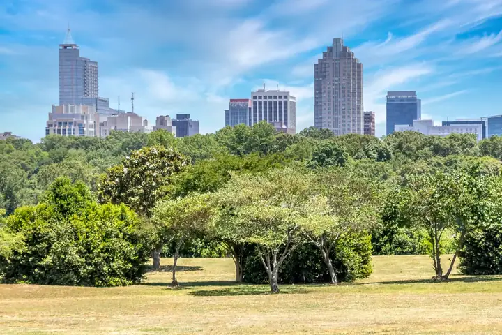 Sunny view of Dorothea Dix Park with lush green trees in foreground and Raleigh skyline in the background.