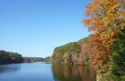 Autumn foliage at Lake Johnson Park with clear blue sky and calm lake waters.