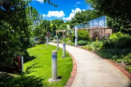 Sunny pathway leading to the JC Raulston Arboretum with lush greenery and glass building in the background.