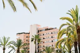 Alt text: "Sea Crest Oceanfront Resort surrounded by palm trees under a clear sky."