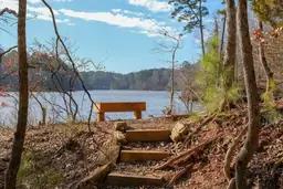 Wooden bench overlooking a serene lake at Blue Jay Point County Park, flanked by trees with a clear sky above.