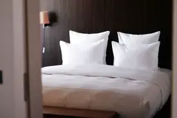 Elegantly made queen-size bed with pristine white bedding in a Comfort Inn Raleigh Midtown hotel room.