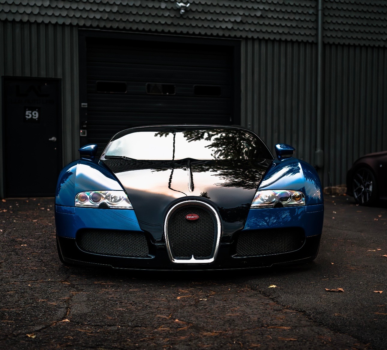 Bugatti Veyron with window tint by Lux Auto Lab