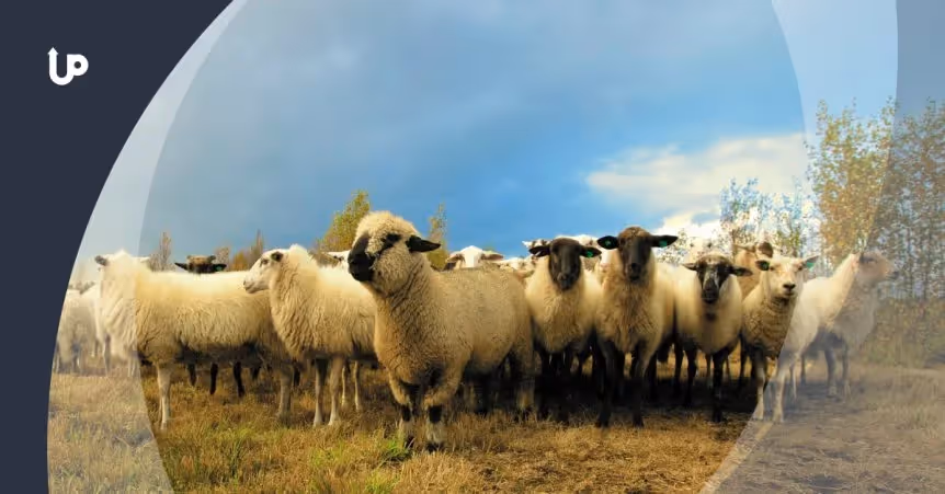 How to Create FOMO (Fear of Missing Out) to Increase Social Engagement