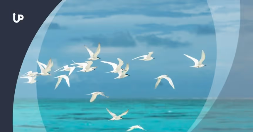 Here Are 11 Ways to Promote a Giveaway