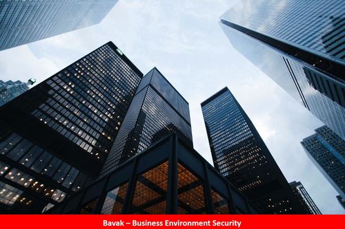 Business Environment Security